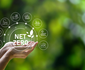 KHÓA ĐÀO TẠO CHUYÊN SÂU: INDUSTRIAL NET ZERO & DECARBONISATION